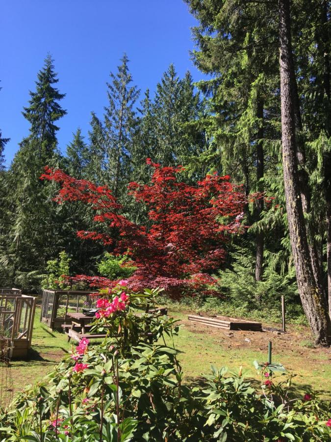 Cedar Song B&B Parksville Exteriör bild