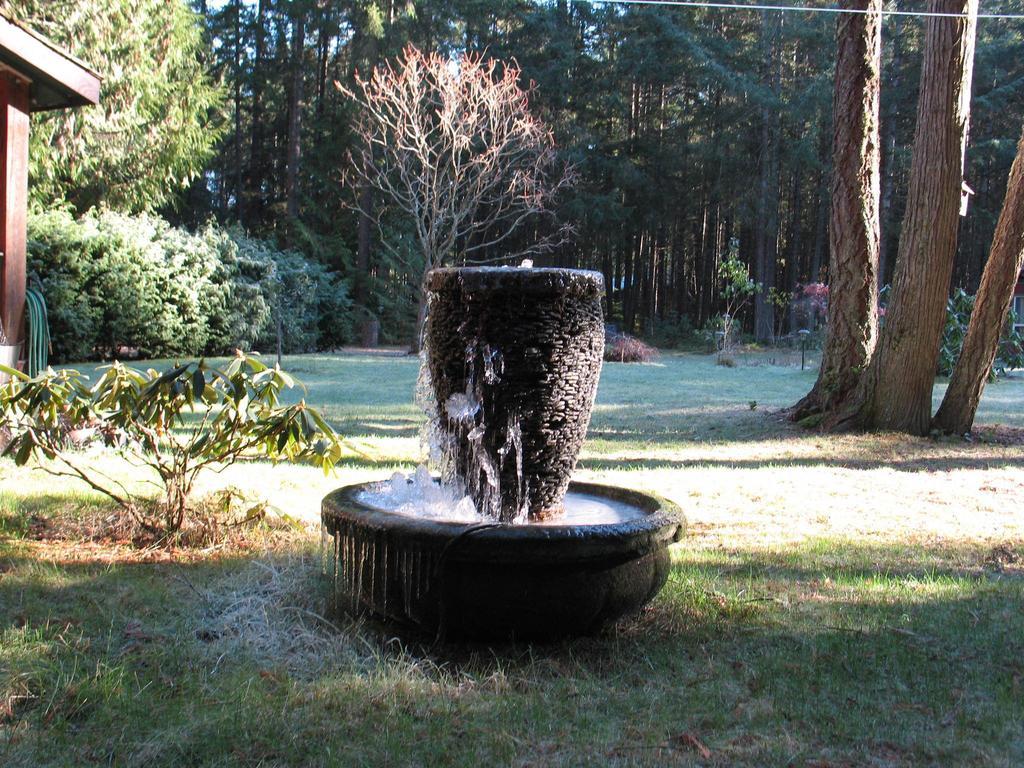 Cedar Song B&B Parksville Rum bild