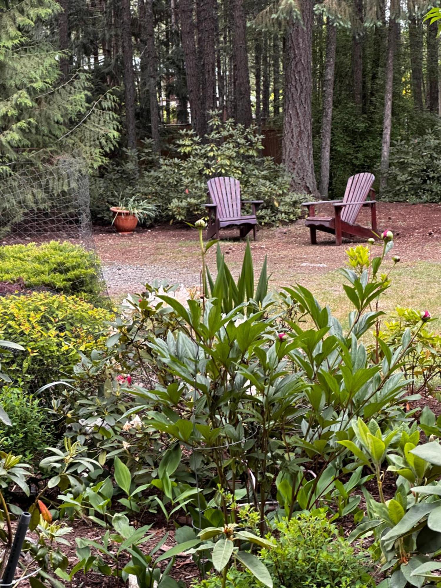 Cedar Song B&B Parksville Exteriör bild