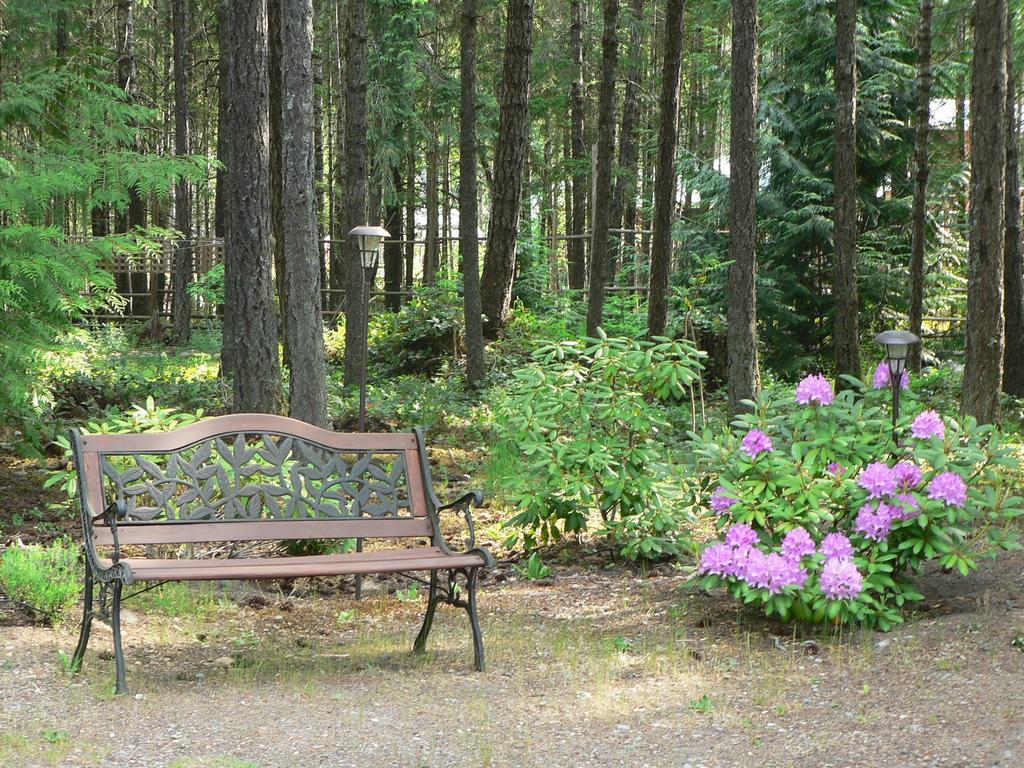 Cedar Song B&B Parksville Rum bild