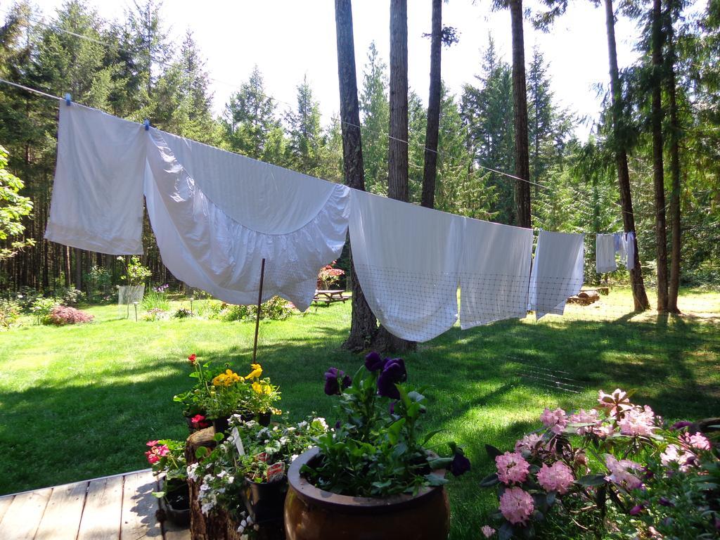 Cedar Song B&B Parksville Exteriör bild